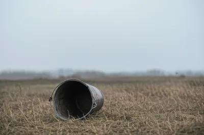 Illustration dullness - Image 1