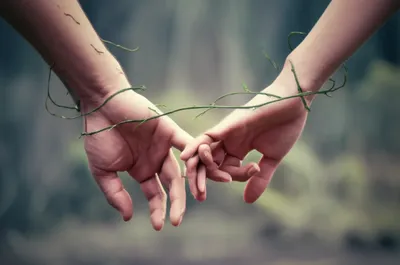 Illustration binds - Image 1