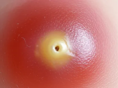 Illustration gather - Image 1