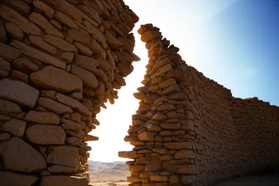 Illustration driest - Image 1