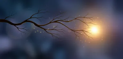 Illustration dendrons - Image 1