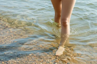 Illustration wades - Image 1