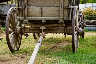 Illustration reaches - Image 1