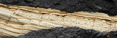 Illustration sandwiches - Image 1