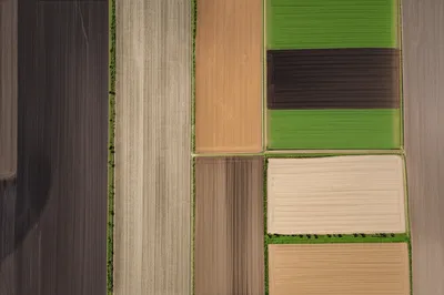 Illustration plat - Image 1