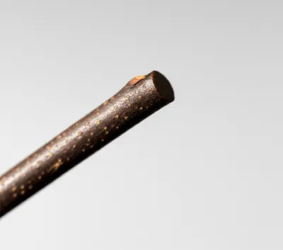 Illustration nip - Image 1