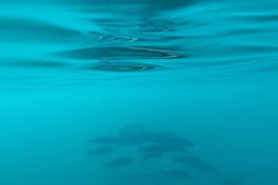 Illustration under - Image 1