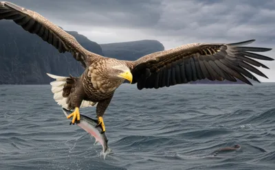 Illustration earn - Image 1