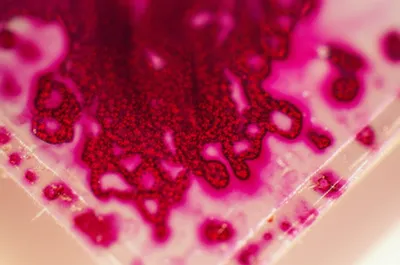 Illustration rosaniline - Image 1