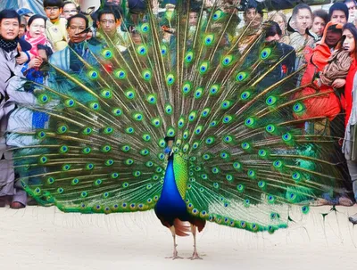 Illustration displays - Image 1