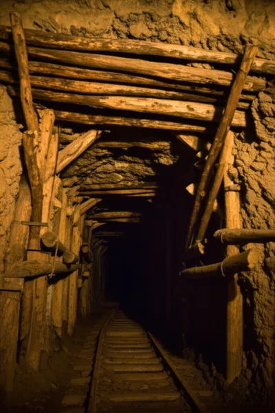 Illustration braces - Image 1