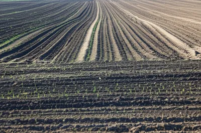 Illustration plow - Image 1