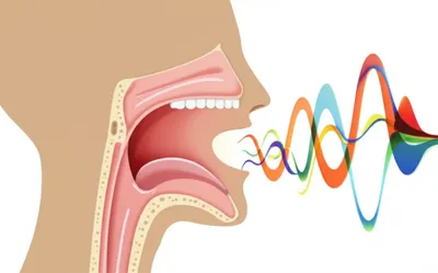 Illustration phonological