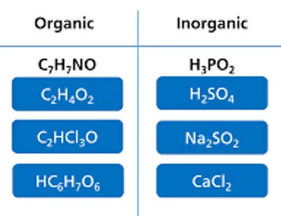 Illustration organic - Image 2