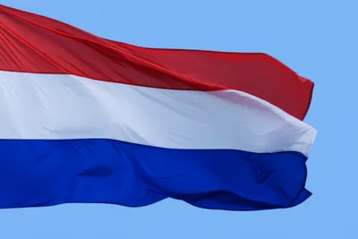 Illustration tricolor - Image 1