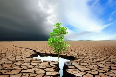 Illustration lapse - Image 1