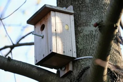 Illustration fastens - Image 1