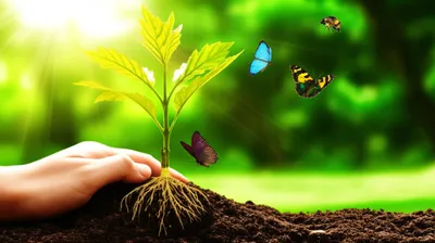 Illustration naturalise - Image 1