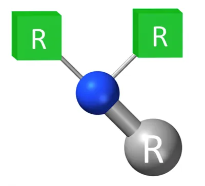 Illustration amide - Image 1