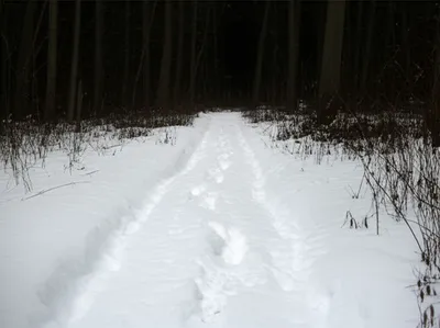 Illustration backtrack - Image 1