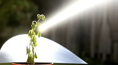 Illustration reflector