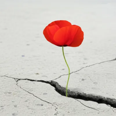 Illustration rising - Image 1