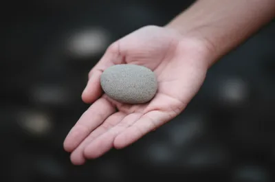 Illustration palmed - Image 1