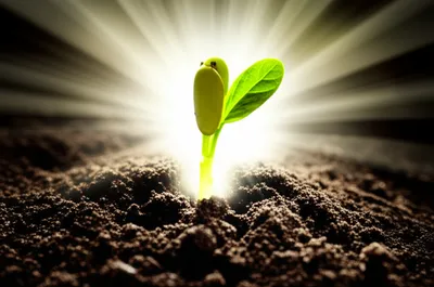 Illustration struck - Image 1