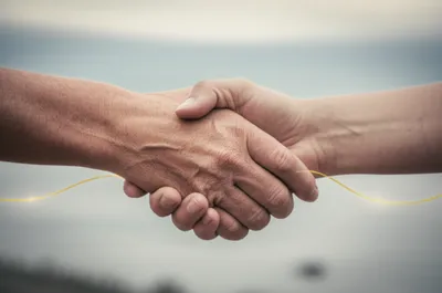 Illustration lays - Image 1