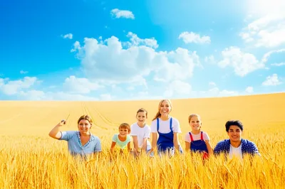 Illustration promises - Image 1