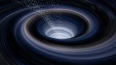 Illustration swallow - Image 1