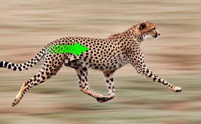 Illustration expeditious - Image 1