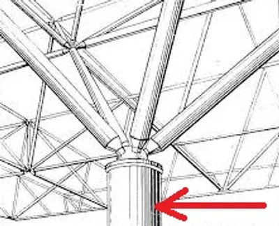 Illustration stem - Image 3