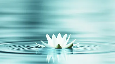 Illustration fair - Image 1