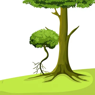 Illustration dependence