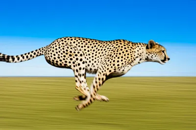 Illustration executes - Image 1