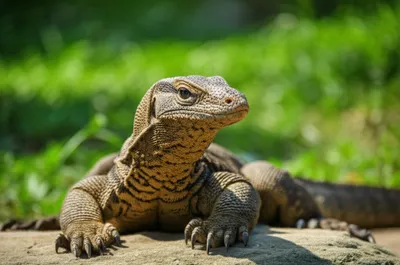 Illustration monitors - Image 1