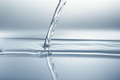 Illustration laminal - Image 1