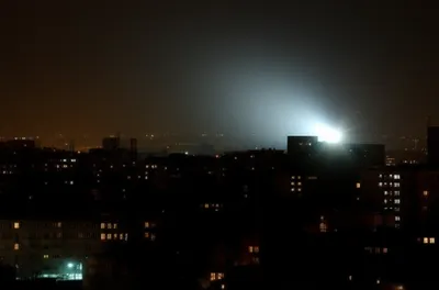 Illustration bloom - Image 1