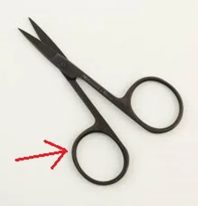 Illustration bow - Image 7