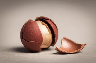 Illustration test - Image 1