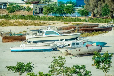 Illustration wracks - Image 2