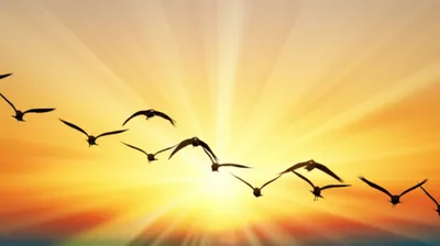 Illustration synchronisation