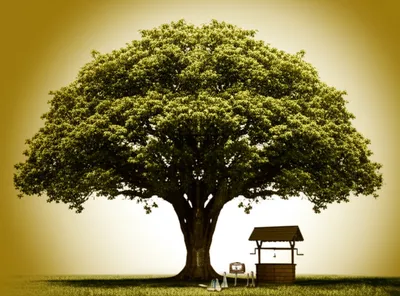 Illustration durable