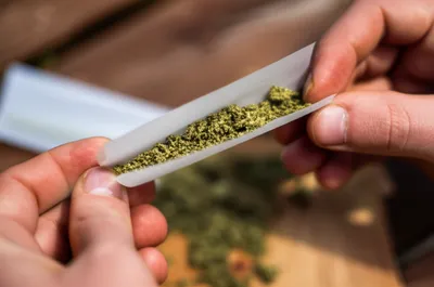 Illustration bun - Image 1