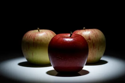 Illustration favorite