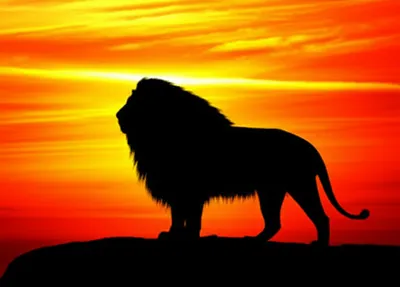 Illustration reigns - Image 1