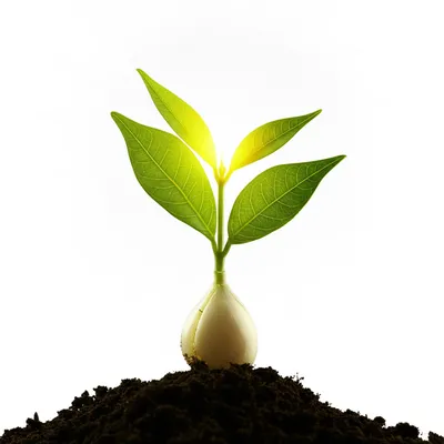 Illustration animated - Image 1