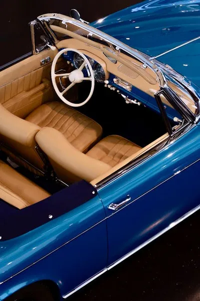 Illustration showed - Image 2