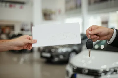 Illustration logbook - Image 1